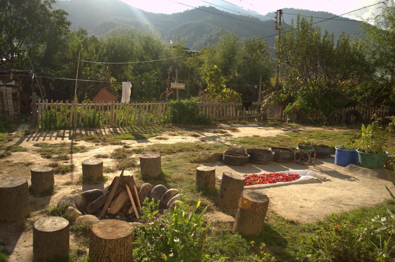 Ama'S Village Lodge Paro Exterior photo